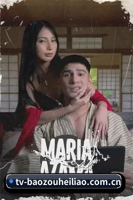 📺 关于本站