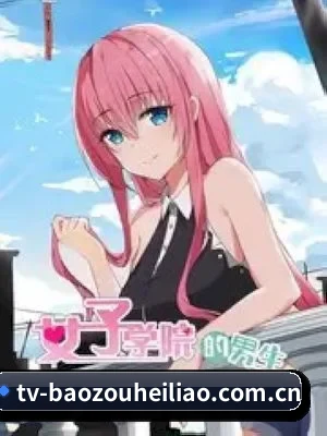 📺 关于本站